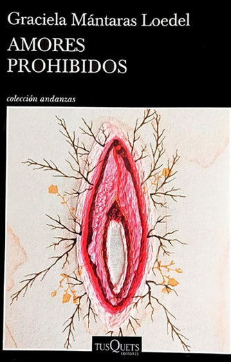 Cover photo of Amores prohibidos
