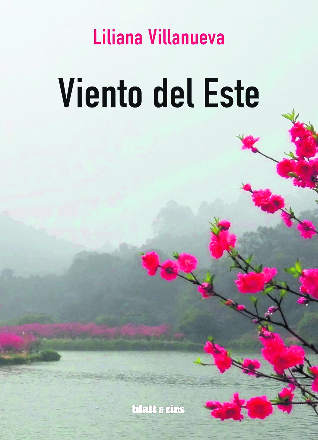 Cover photo of Viento del este