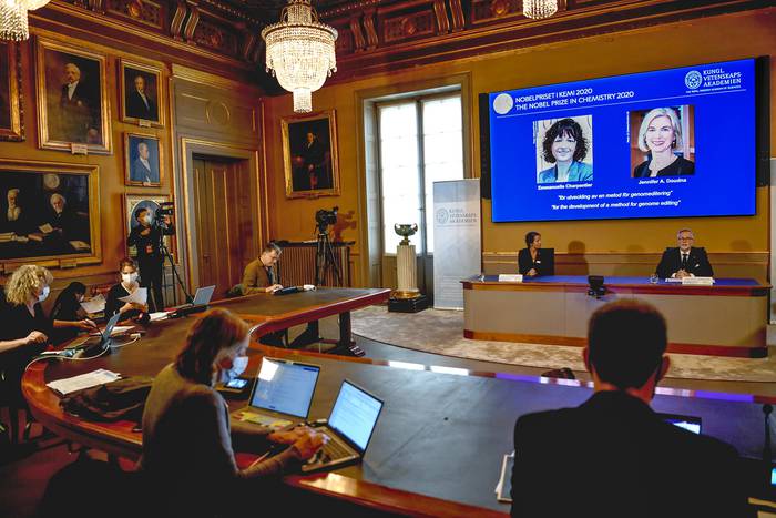 Emmanuelle Charpentier y Jennifer Doudna, en pantalla en la Real Academia Sueca de Ciencias, ayer, en Estocolmo.
 · Foto: Henrik MONTGOMERY / Agencia de Noticias TT / AFP