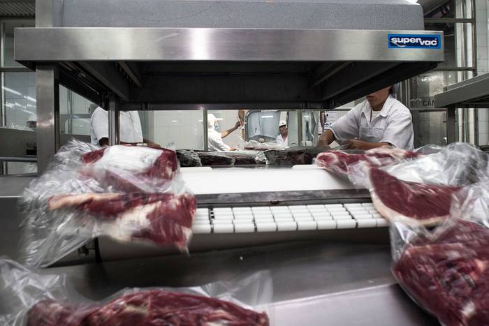 Preparación de carne para exportar. · Foto: Pablo La Rosa, adhocFOTOS