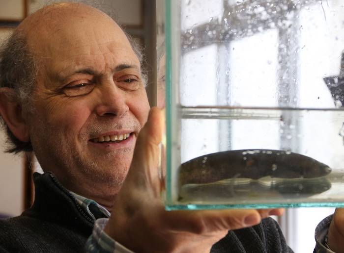 Ángel Caputi y el pez eléctrico _Gymnotus omarorum_, los dos uruguayos mencionados en el libro. · Foto: Marcelo Casacuberta