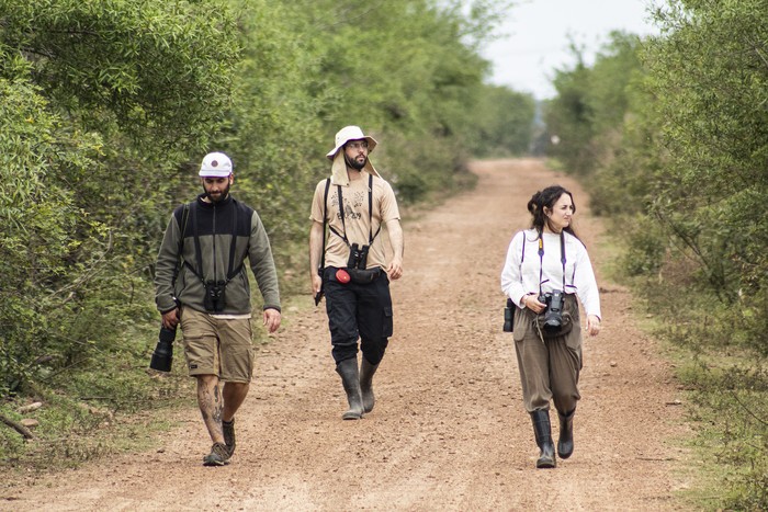 Joaquín Muñoz, Diego Castelli y Lucía Frones, en una salida de campo. · Foto: Esteban Russi