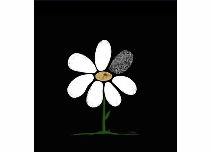 Gráfica de la Memoria. Gráfica de la Memoria.