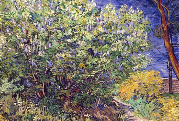_Las lilas_, de Van Gogh