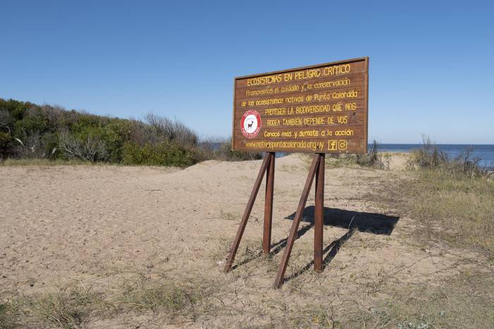 Situación de la Playa Brava y sus dunas a lo largo de la rambla costanera de Punta Colorada. (archivo, julio de 2022) · Foto: Daniel Caselli, CFPC