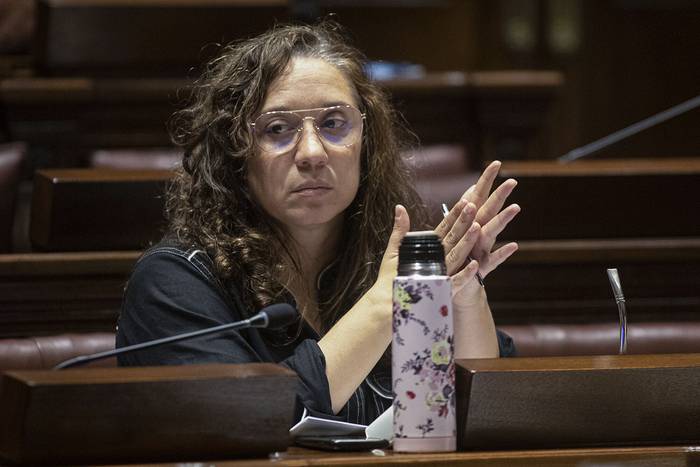 Verónica Mato, durante una sesión en la Cámara de Representantes, en el Palacio Legislativo (archivo, marzo de 2022). · Foto: .