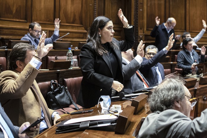 María Eugenia Roselló, en la Cámara de Diputados (archivo, junio de 2022). · Foto: .