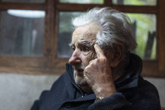 José Mujica, en su chacra (archivo, junio de 2022). · Foto: .
