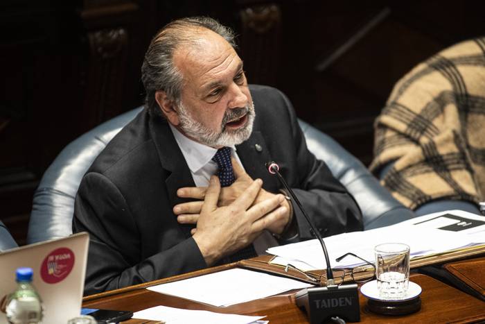 Jorge Gandini en cámara de Senadores. · Foto: .