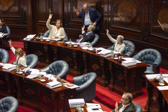 Rendición de Cuentas en Cámara de Senadores (03.10.2022). · Foto: Alessandro Maradei