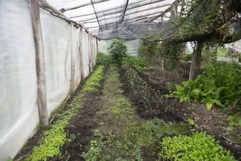 (Archivo). · Foto: Alessandro Maradei