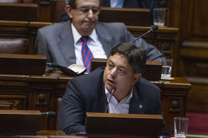Daniel Peña, durante una sesión de la Cámara de Diputados (archivo, febrero de 2020). · Foto: .