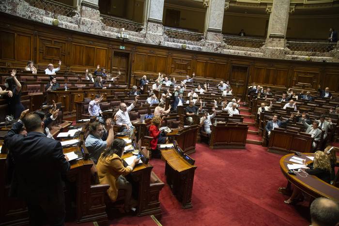 Sesión en la Cámara de Diputados para tratar el Proyecto de Ley de Tenencia Compartida (archivo, diciembre de 2022). · Foto: Camilo dos Santos