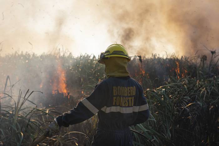 Incendio en Pinar Norte, el 8 de enero. · Foto: Alessandro Maradei