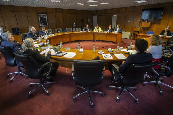 Comisión de Innovación, Ciencia y Tecnología de la Cámara de Diputados, el 16 de marzo, en el edificio anexo al Palacio Legislativo, en Montevideo. · Foto: .