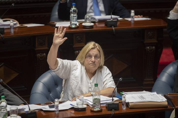 Graciela Bianchi, durante una sesión de la Cámara de Senadores (archivo, abril de 2023). · Foto: .