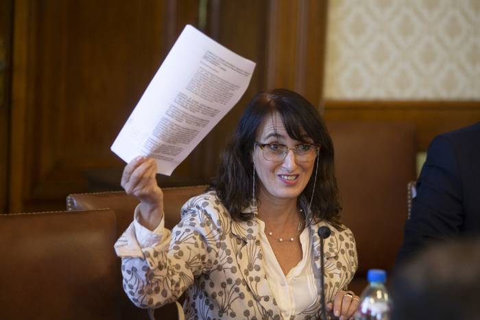 Carmen Asiaín en la comisión de Salud del Senado. · Foto: .