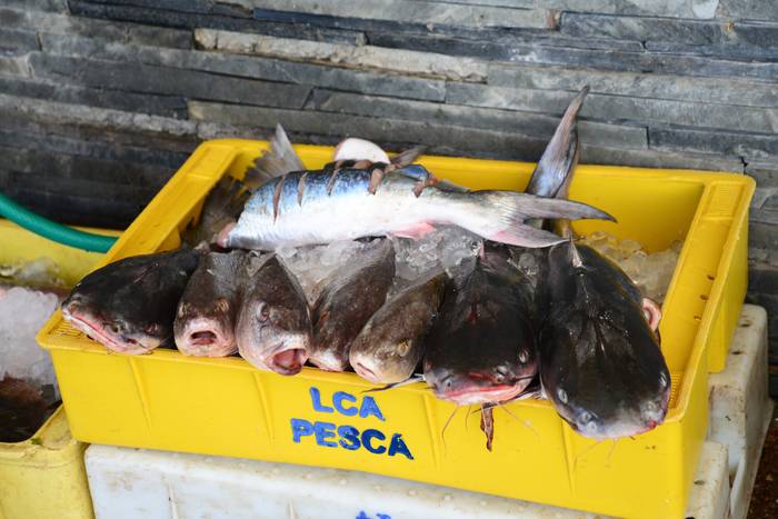 Foto principal del artículo 'El Ministerio de Industria buscará impulsar una mesa de diálogo para el tratamiento de la situación de la pesca' · Foto: Natalia Ayala
