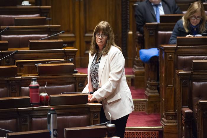 Cecilia Cairo, el 19 de julio, en la Cámara de Diputados. · Foto: Alessandro Maradei