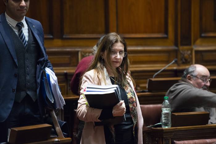 Karina Rando, el 19 de julio, en la Cámara de Diputados. · Foto: Alessandro Maradei