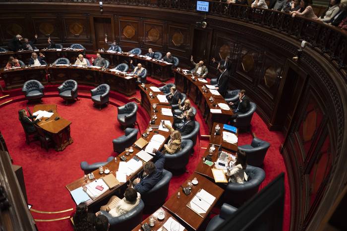 Sesión del Senado. · Foto: Alessandro Maradei