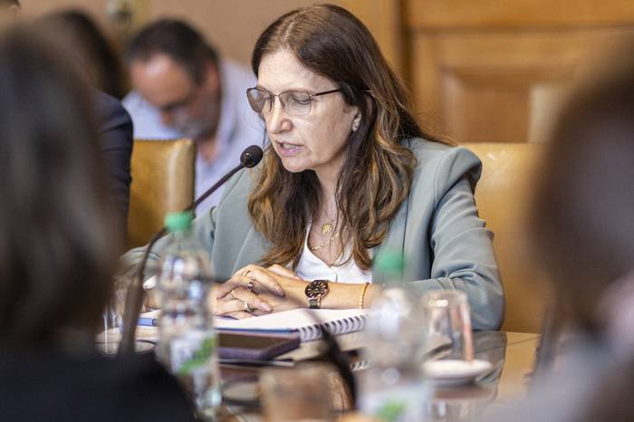 La ministra Karina Rando en la comisión de salud del Senado. · Foto: Ernesto Ryan