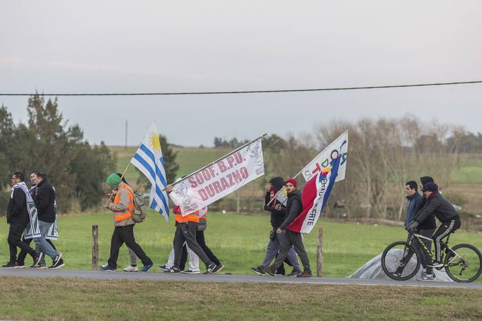 Marcha de los trabajadores de la industria frigorífica desde Canelones a Montevideo en reclamo por la reapertura del frigorífico Canelones, el 27 de julio de 2020. · Foto: Alessandro Maradei