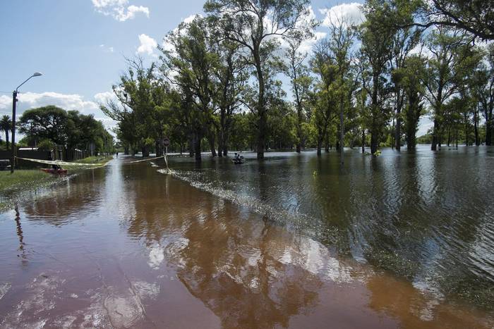 Inundación en Soriano (archivo, enero de 2019) · Foto: Mariana Greif