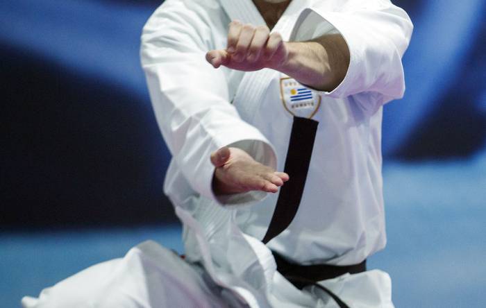 Foto principal del artículo 'Maximiliano Larrosa se subió al podio en el Panamericano de karate' · Foto: .