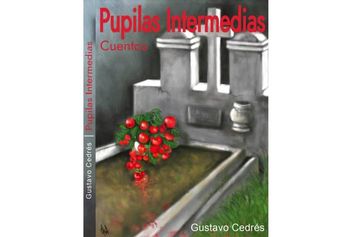 Foto principal del artículo 'El coloniense Gustavo Cedrés acaba de publicar su libro “Pupilas intermedias”'