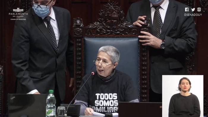 Amanda Della Ventura en la Cámara de Senadores (18.05.2022). Foto: Captura de video.