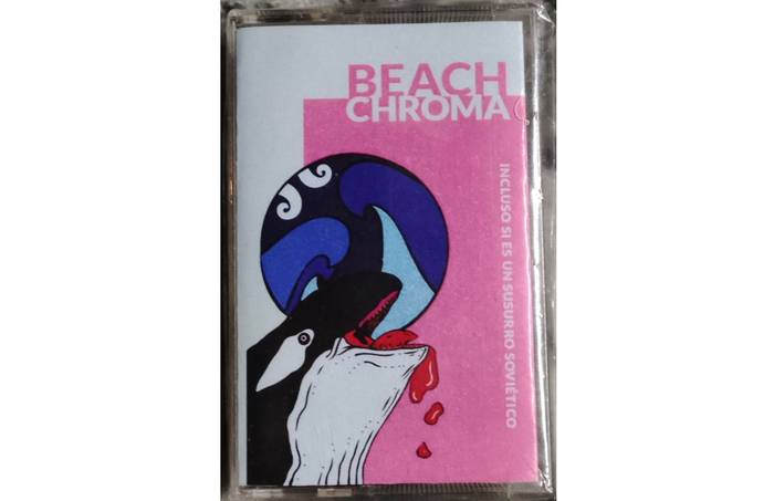 Foto principal del artículo 'Paraíso imaginado: el tacuaremboense Federico Cáceres reedita su disco Beach Chroma en casete'