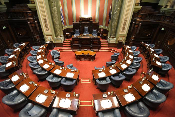 Cámara de Senadores · Foto: Federico Gutiérrez