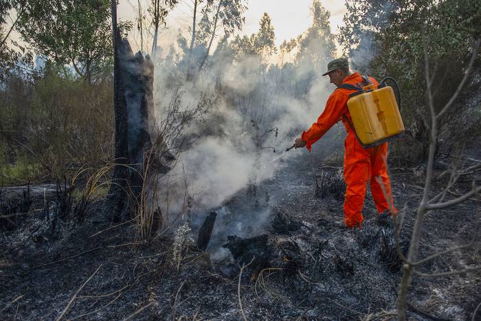 Incendio forestal en el Fortín de Santa Rosa (archivo, diciembre de 2021). · Foto: Alessandro Maradei