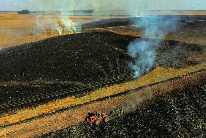 Campo quemado cerca de Santo Tomé, Corrientes, Argentina, el 17 de agosto de 2021. · Foto: Juan Mabromata, AFP