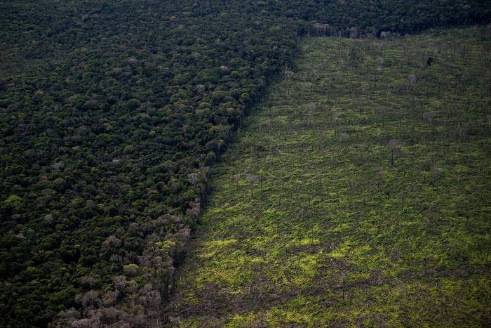 Deforestación en la selva Amazónica, entre Manaos y Manicoré, Brasil (archivo, junio de 2022). · Foto: Mauro Pimentel, AFP