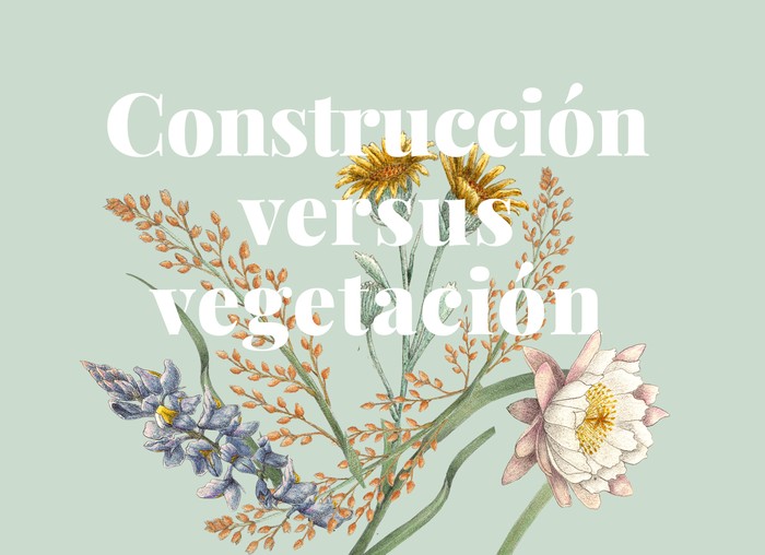 Foto principal del artículo 'Construcción versus vegetación'
