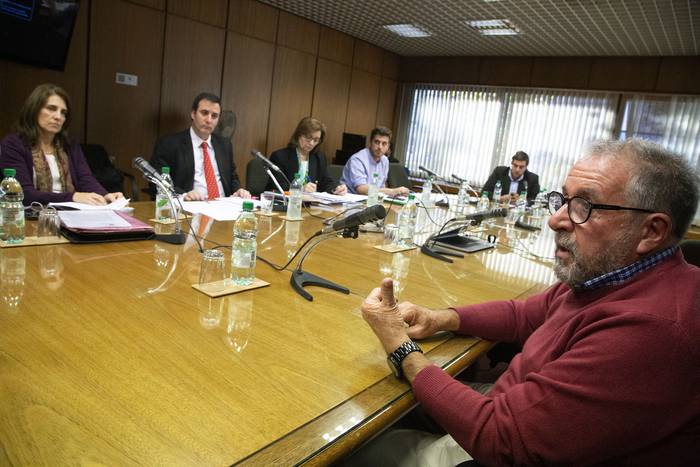 Ricardo Páez (d), presidente de la Cámara de Empresas de Cannabis Medicinal, en comisión parlamentaria (01.06.2023). · Foto: Camilo dos Santos