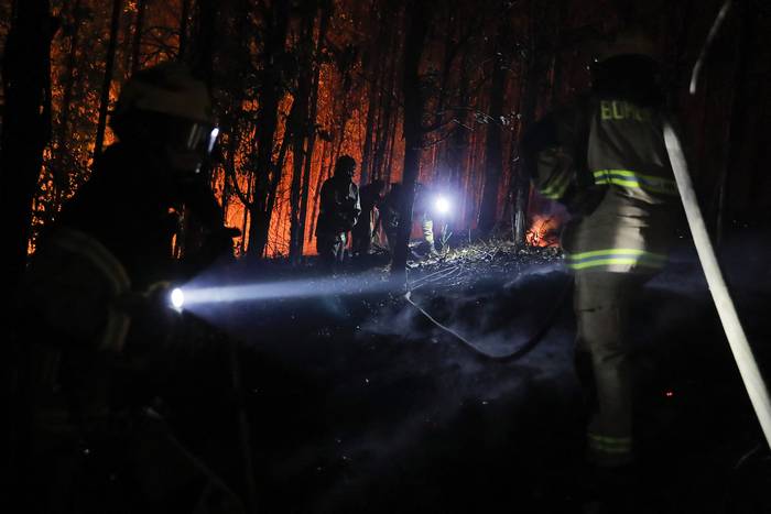 Incendio forestal en Rafael, Región del Bío Bío, Chile (08.02.2023). · Foto: Javier Torres AFP