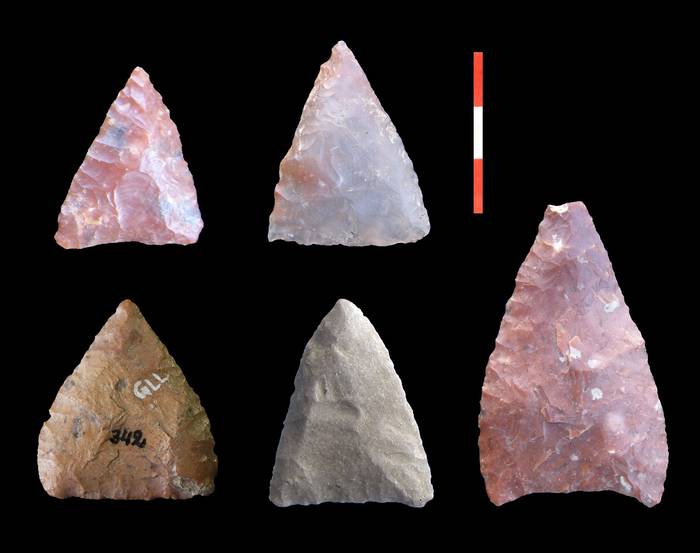 Puntas triangulares apedunculadas con acanaladura. Foto: Rafael Suárez