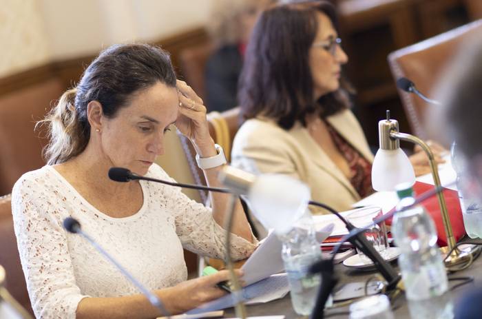 Carmen Sanguinetti, el martes, en la Comisión de Salud de Senado. · Foto: Ernesto Ryan