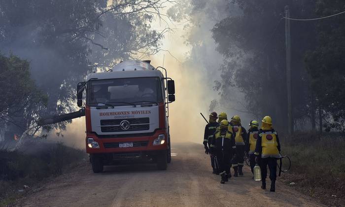 Incendio forestal, el 30 de diciembre de 2021, en Canelones. · Foto: Federico Gutiérrez