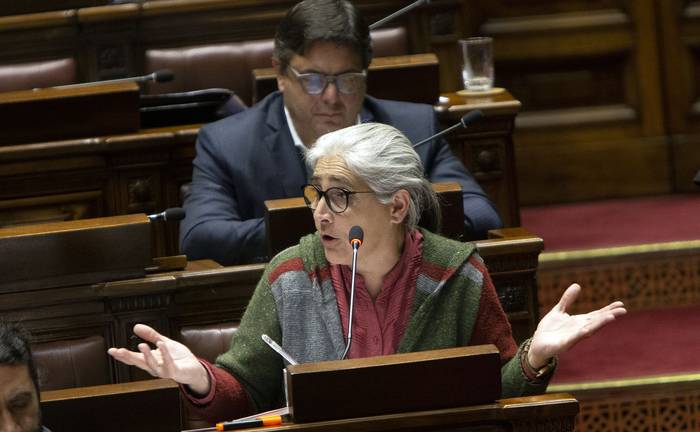 Lucía Etcheverry durante la sesión en Diputados (21.06.2023). · Foto: Camilo dos Santos
