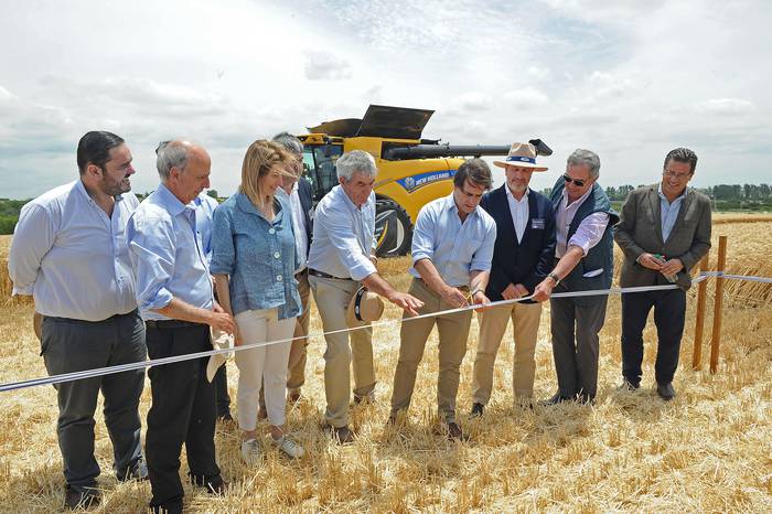 Luis Lacalle Pou durante la inauguración de la cosecha de trigo, el 16 de noviembre en el departamento de Soriano. · Foto: Presidencia de Uruguay