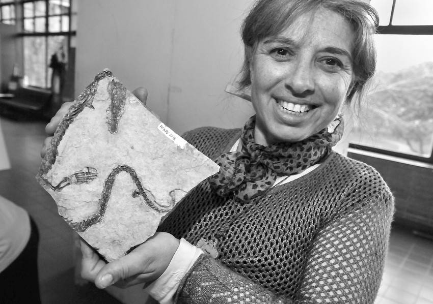 Graciela Piñeiro. 