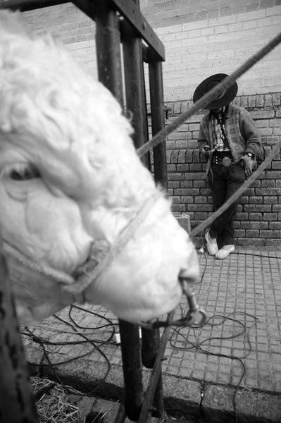 Expo Prado 2012, ayer de tarde