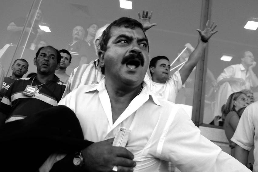 Foto principal del artículo 'A rienda suelta' 
