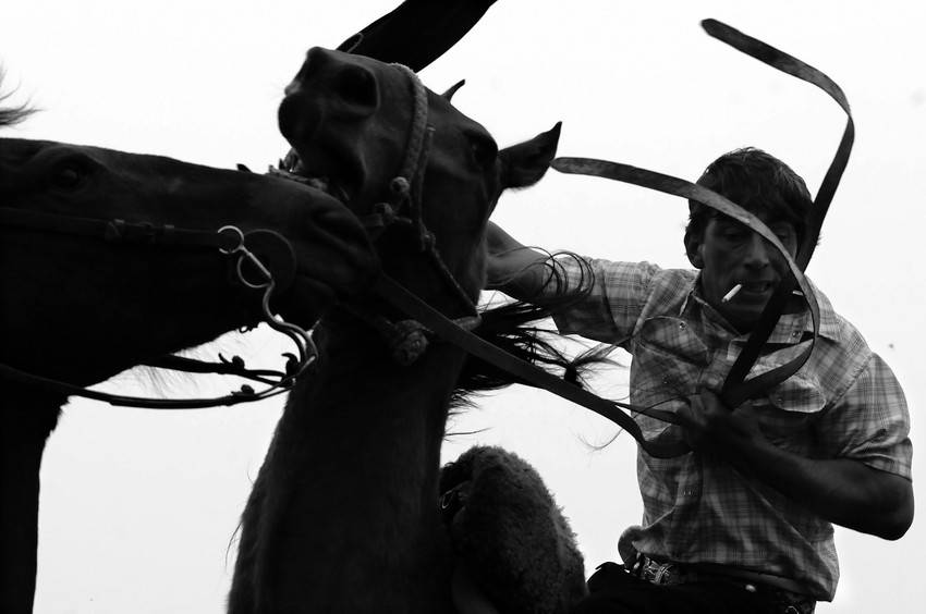 Foto principal del artículo 'La excusa perfecta' 