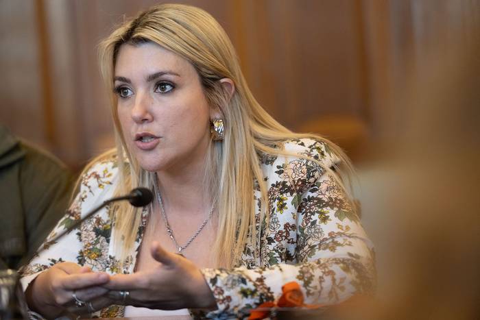 Valeria Ripoll en la Comisión de Constitución y Legislación (14.11.2023). · Foto: Mara Quintero