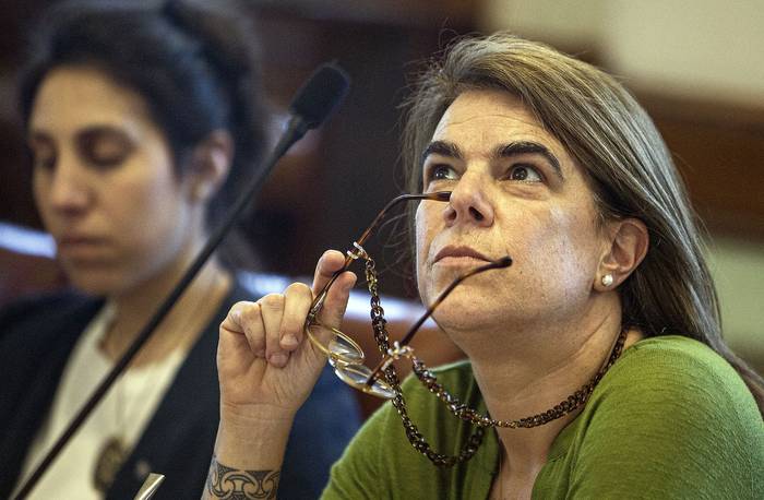 Silvia Nane, el 25 de octubre, en la Comisión de Derechos Humanos y Género. · Foto: .